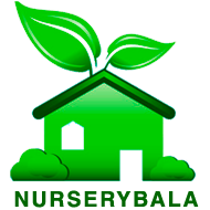 partner